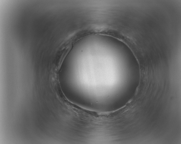 X0000063531349200602032125