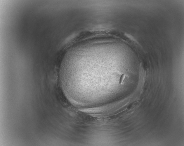 X0000063531350200602032125