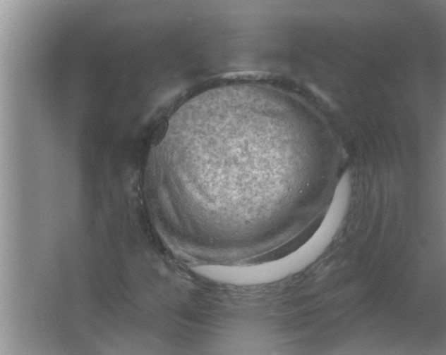 X0000063531351200602032125