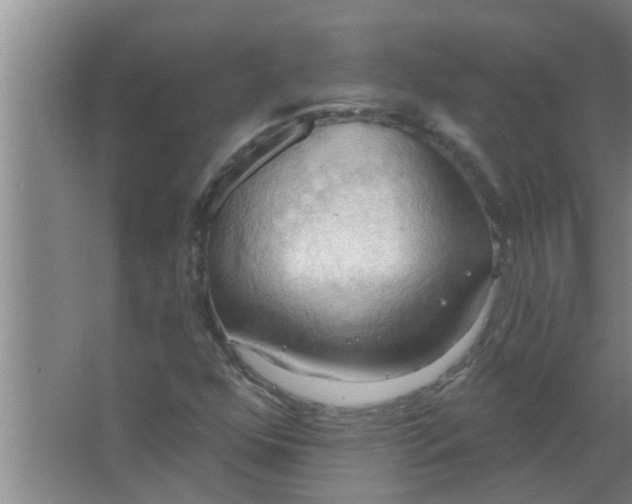 X0000063531352200602032125