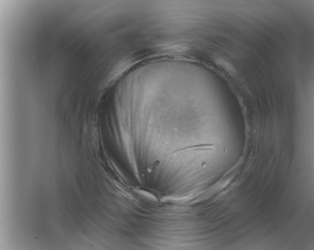 X0000063531354200602032125