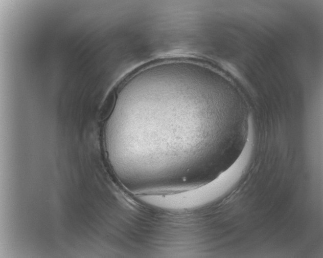 X0000063531356200602032125