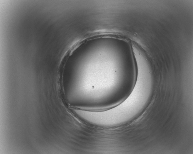 X0000063531357200602032125