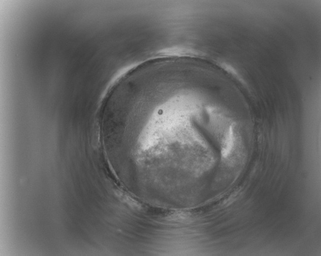 X0000063531358200602032125