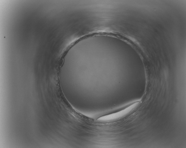 X0000063531359200602032125