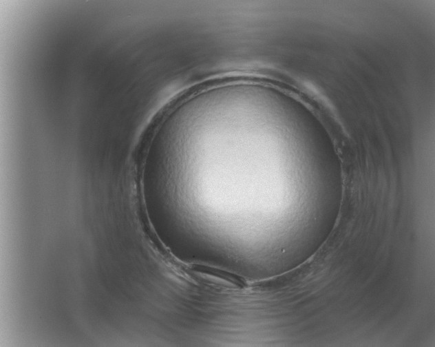 X0000063531360200602032125