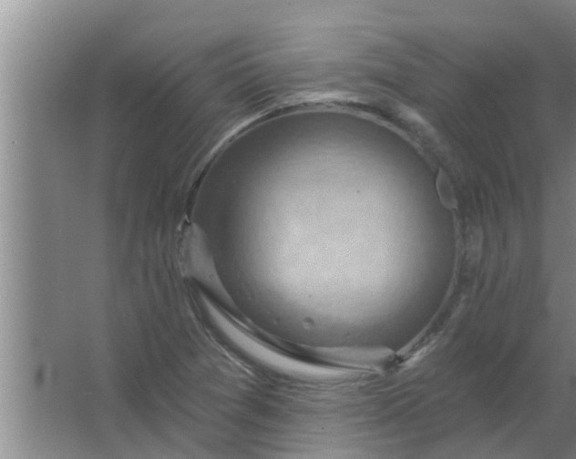 X0000063531361200602032125