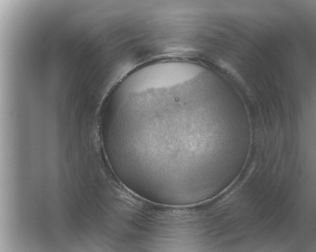 X0000063531362200602032125