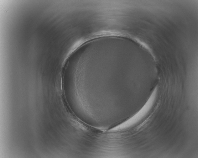 X0000063531365200602032125