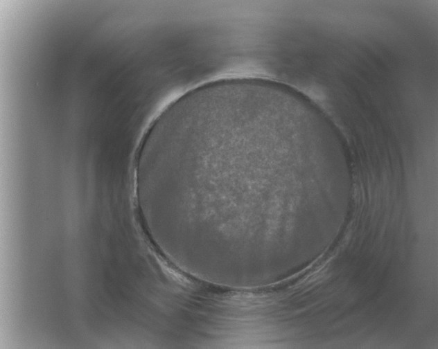 X0000063531366200602032125