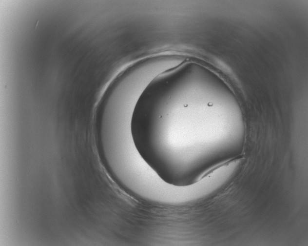 X0000063531368200602032125