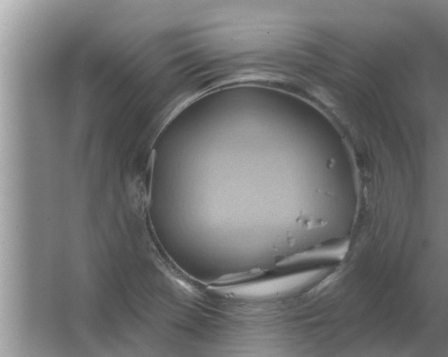 X0000063531369200602032125