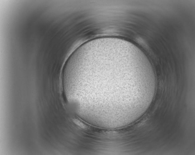 X0000063531370200602032125