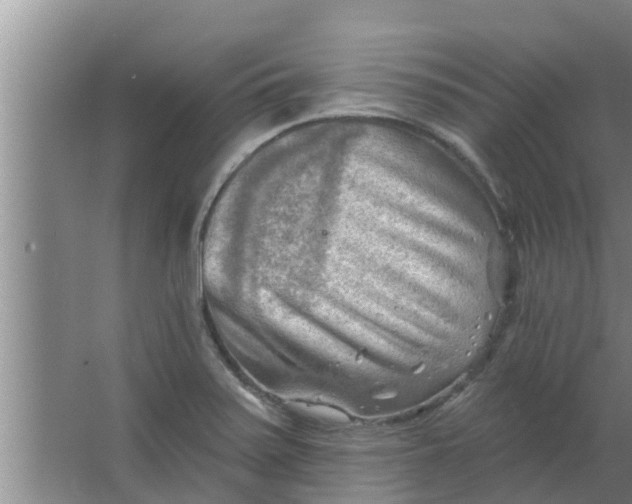 X0000063531371200602032125