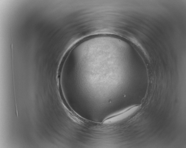 X0000063531372200602032125