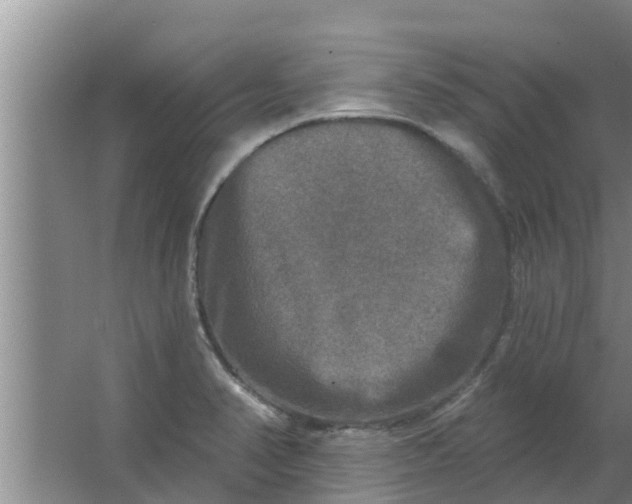 X0000063531374200602032125