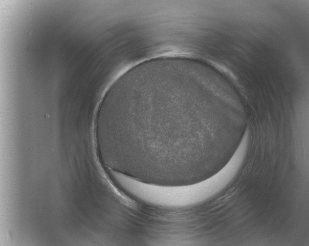 X0000063531375200602032125