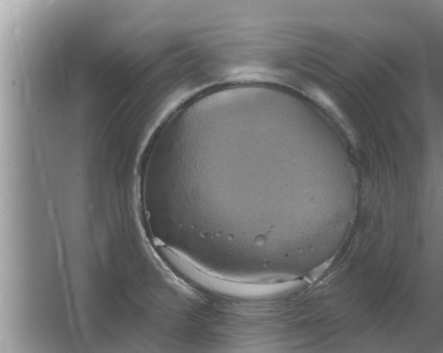 X0000063531376200602032125