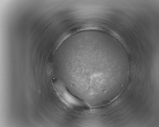 X0000063531377200602032125