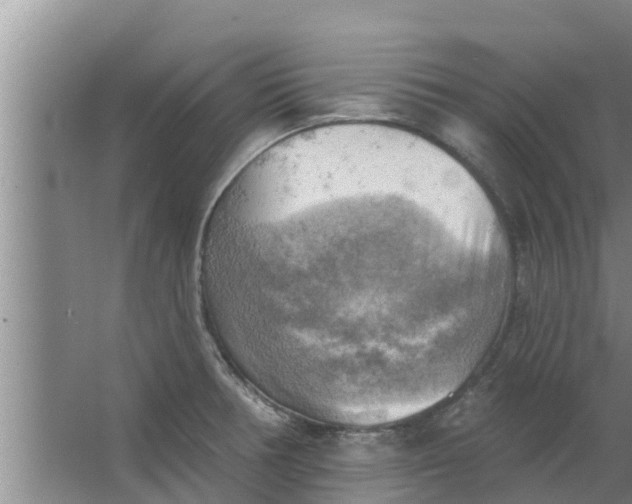 X0000063531378200602032125