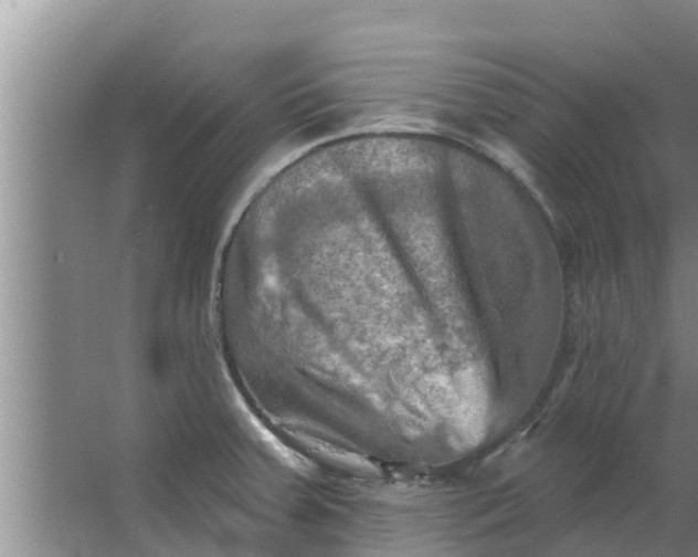 X0000063531379200602032125