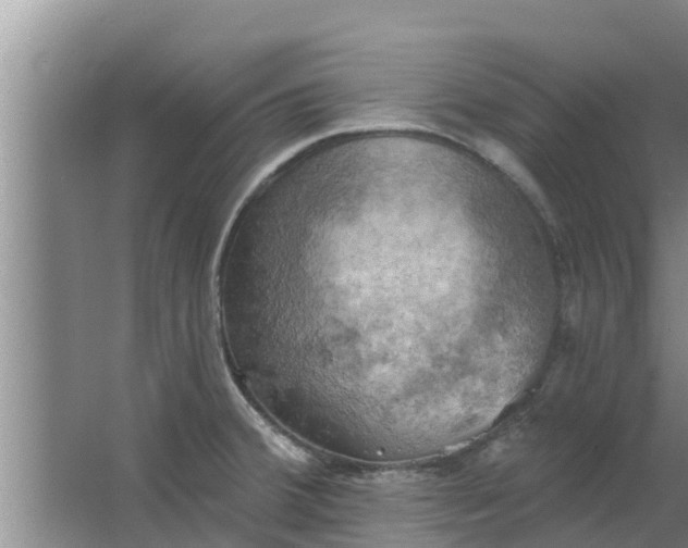 X0000063531380200602032125