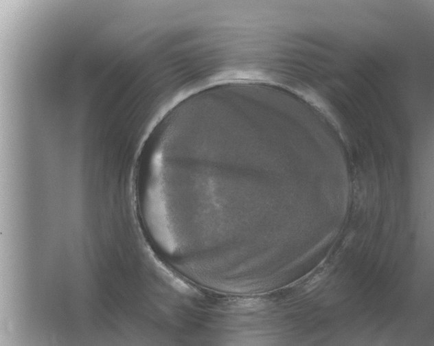 X0000063531382200602032125