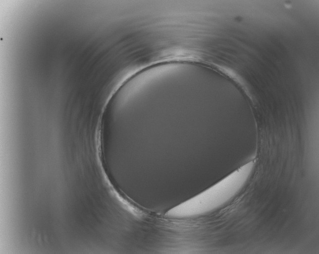 X0000063531383200602032125