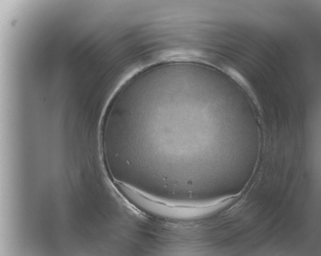 X0000063531384200602032125