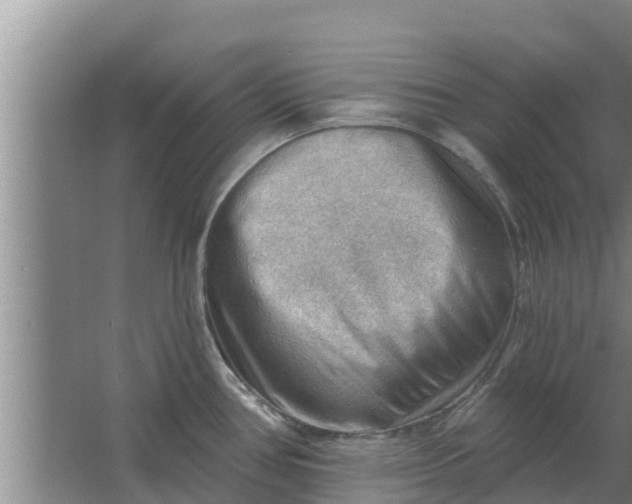 X0000063531386200602032125