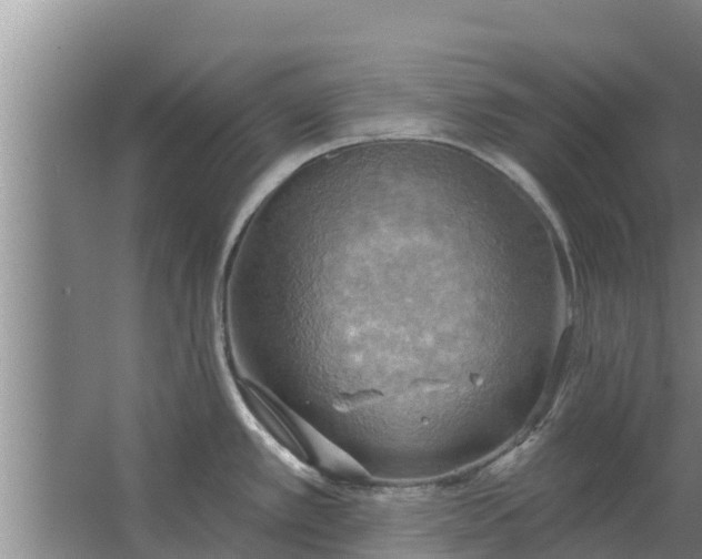 X0000063531389200602032125