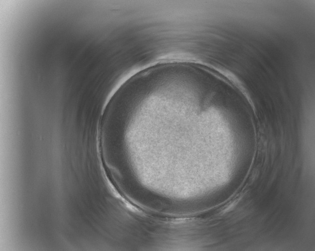 X0000063531390200602032125