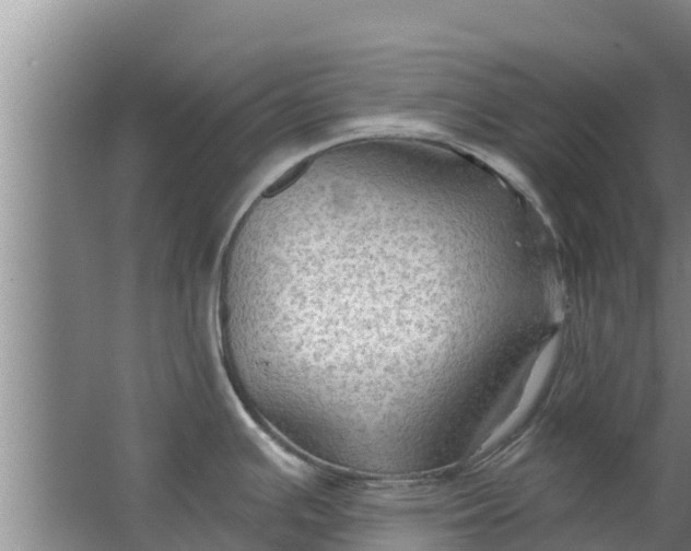 X0000063531391200602032125