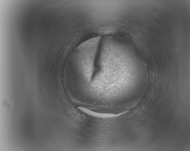 X0000063531393200602032124