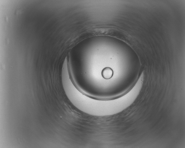 X0000063531394200602032124