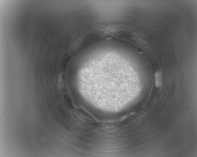 X0000063531395200602032124