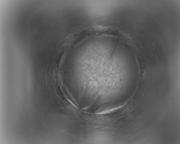 X0000063531397200602032124