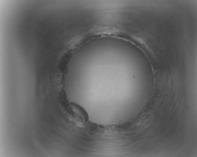 X0000063531399200602032124