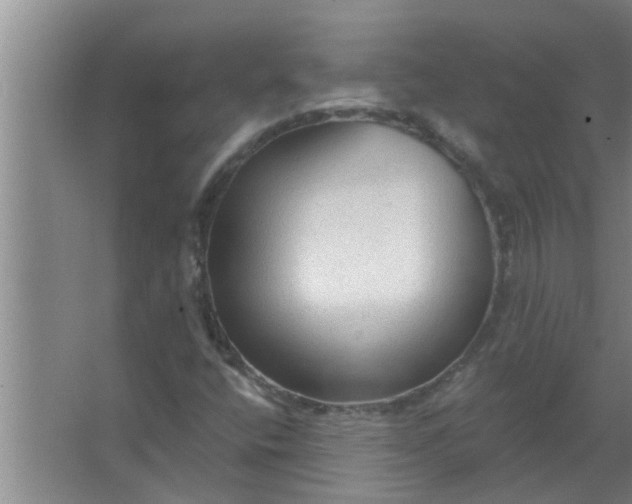 X0000063531400200602032124