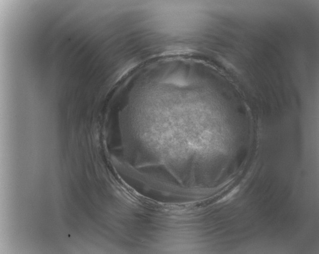 X0000063531401200602032124