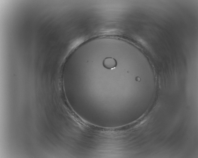 X0000063531405200602032124