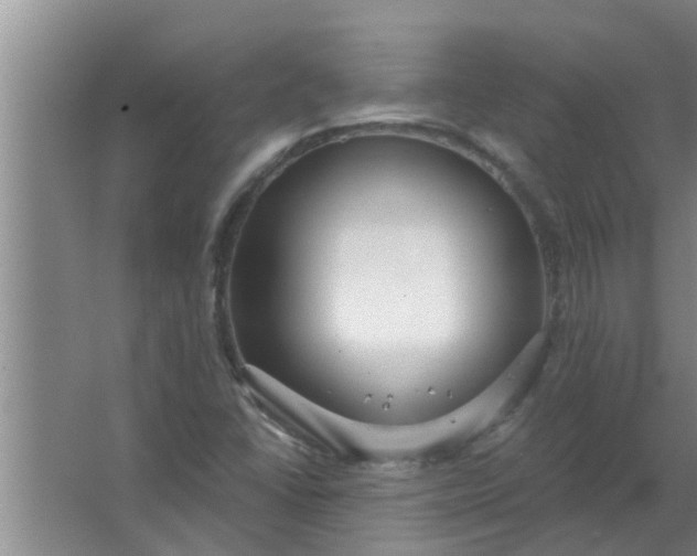 X0000063531406200602032124