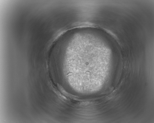 X0000063531407200602032124