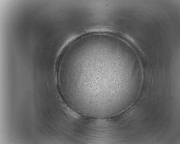 X0000063531408200602032124