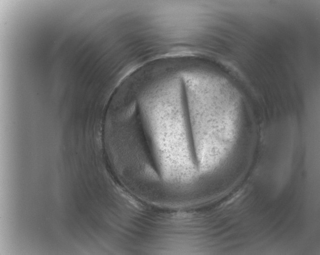 X0000063531409200602032124