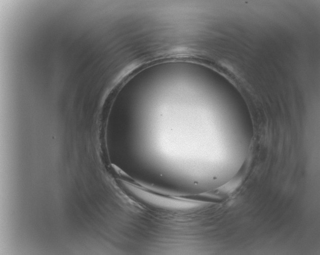 X0000063531410200602032124