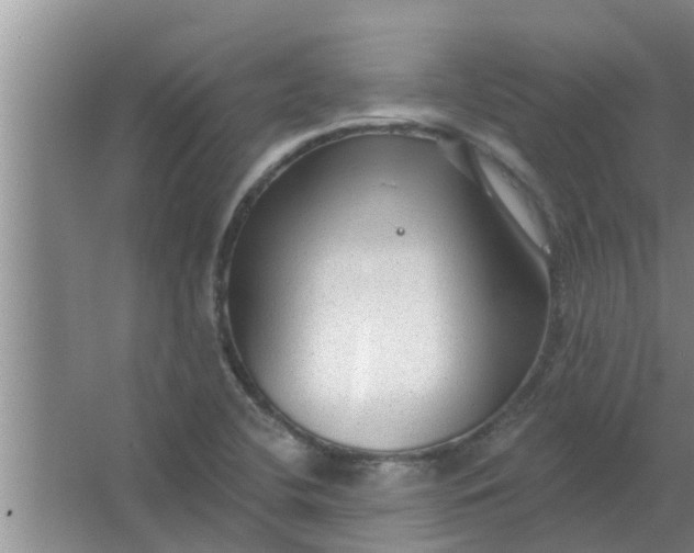 X0000063531412200602032124