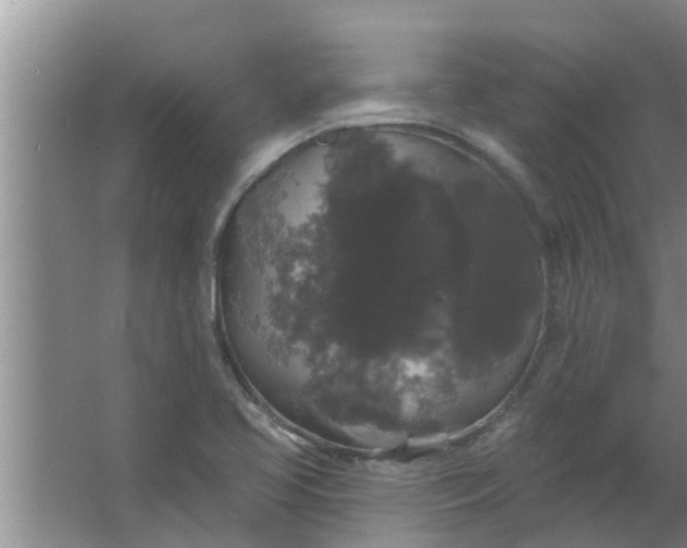 X0000063531413200602032124