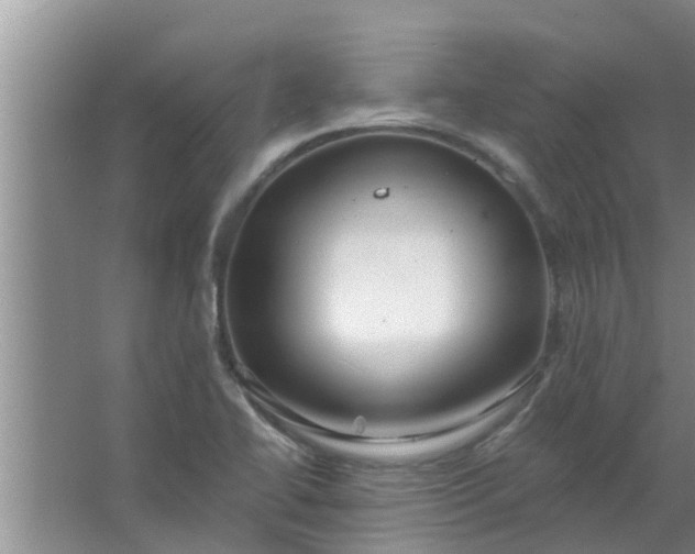 X0000063531414200602032124