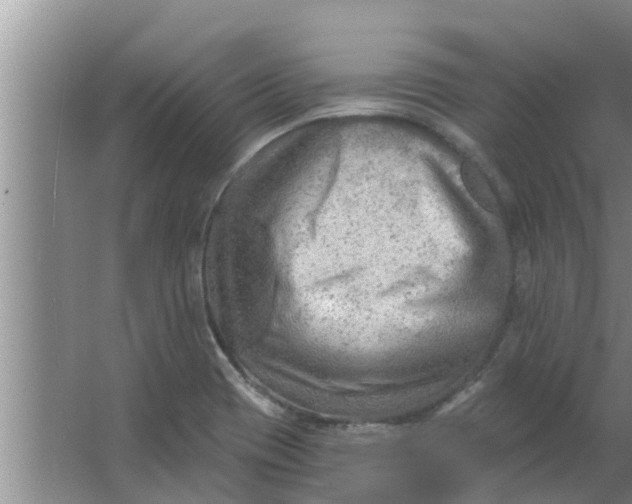 X0000063531417200602032124